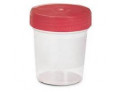 Diagnostic Box Contenitore Sterile per analisi urina con tappo a vite (1 pz)