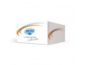 Dietidea kit donna dieta 7 giorni