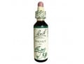 Fiori di Bach originali Walnut gocce orali omeopatiche (20 ml)