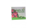 ErbaVita Artiglio del diavolo Gel (100 ml)