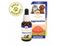 Australian Bush Flower Essences Animal Aggressive favorisce la docilità degli animali di piccola e media taglia (30 ml)