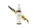 Loacker Fiori di Bach originali Agrimony gocce orali omeopatiche (20 ml)