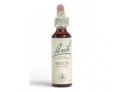 Loacker Fiori di Bach originali Beech gocce orali omeopatiche (20 ml)
