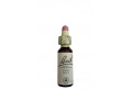 Loacker Fiori di Bach originali Elm gocce orali omeopatiche (20 ml)