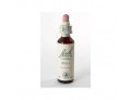 Fiori di Bach originali Holly gocce orali omeopatiche (20 ml)