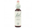 Fiori di Bach originali Larch gocce orali omeopatiche (20 ml)