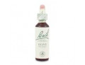 Loacker Fiori di Bach originali Olive gocce orali omeopatiche (20 ml)