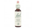 Loacker Fiori di Bach originali Rock Rose gocce orali omeopatiche (20 ml)