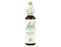 Loacker Fiori di Bach originali Walnut gocce orali omeopatiche (20 ml)