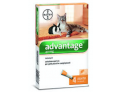 Advantage 40 per Gatti inferiori a 4 kg (4 pipette)