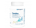 Candex per la salute dell'intestino (90 capsule)