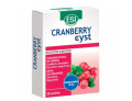 Cranberry Cyst benessere per le vie urinarie (30 ovalette)