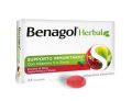 Benagol Herbal supporto immunitario con estratto di Ribes gusto menta e ciliegia (24 pastiglie)