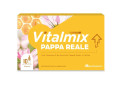 Vitalmix Pappa Reale (10 flaconcini)