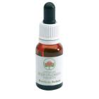 Banksia robur gocce 15 ml