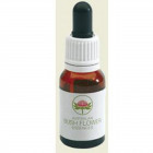 Peach flow tea tree austr (15 ml)