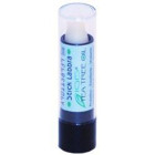 Tea tree oil stick igis nathia 6 ml
