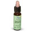 Florit 17 hornbeam/car bi gocce 10 ml