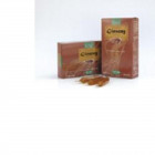 Ginkgo biloba biologico 20 ampolle bevibili da 15 ml