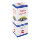 Ribes nigrum mg 100 ml gocce