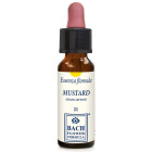 Mustard original gocce 10 ml