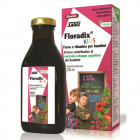 Floradix 500 ml