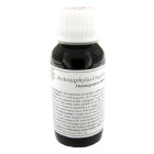 Lvs 59s arctostap uva ursina compositum