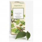 Tilia tormentosa gemme gemmoderivato