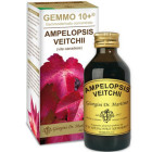 Vite canadese 100 ml liquido analcolico gemmo +10