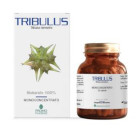 Tribulus 50 capsule