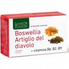 Boswellia artiglio diavolo vitamine b2 b6 b9 60 capsule