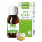 Olea europaea macerato glicerico 60 ml int
