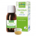 Vaccinium vitis macerato glicerico 60 ml int