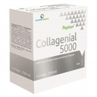 Collagenial 5000 10 fiale 25 ml