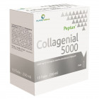 Collagenial 5000 (10 fiale)