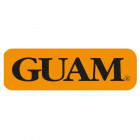 Guam fangogel fir azione caldo-freddo 300 ml