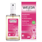 Deodorante rosa mosqueta 100 ml