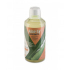 Aloe Vera Sy gusto frutta (1000 ml)