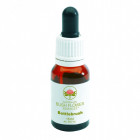 Australian Bush Flower Essence bottlebrush gocce (15 ml)