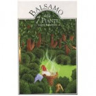 Balsamo delle 7 Piante vapori balsamici per ambienti o vaporizzazioni (10 fiale)