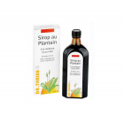 Dr Theiss Mucoplant Sciroppo di Piantaggine e Miele (250 ml)