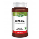 ErbaVita Acerola 550mg (60 cps)