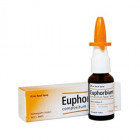 Euphorbium compositum spray nasale S heel (20 ml)