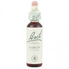 Fiori di Bach originali Larch gocce orali omeopatiche (20 ml)