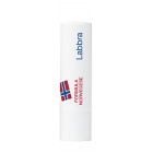 Neutrogena Stick labbra secche (4.8 g)