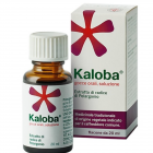 Kaloba 8g/9,75ml Gocce soluzione orale raffreddore (20 ml)