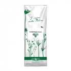 The matcha (100 g)