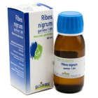 RIBES NIGRUM GEMME 60ML MG 