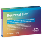 Reuteral Pet cane (30 Capsule) 