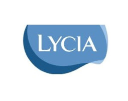 Lycia 20 strisce viso perfezione 12 pezzi
